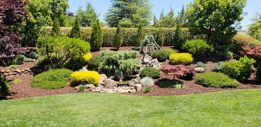 el dorado hills landscaping companies